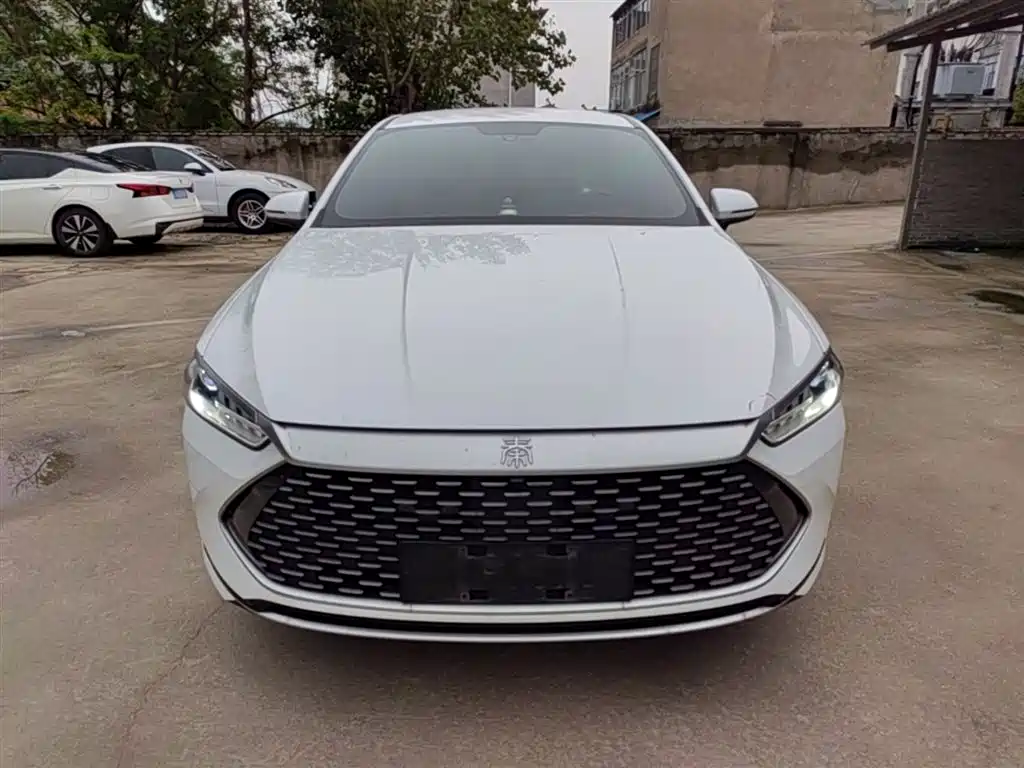BYD Qin PLUS 2023 Champion Edition DM-i 55KM Leading фото 3