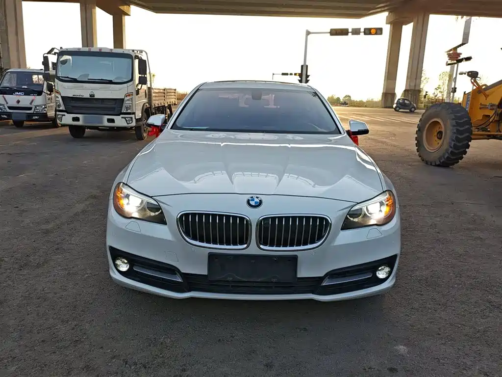 BMW 5 Series 2014 525Li Leading фото 3