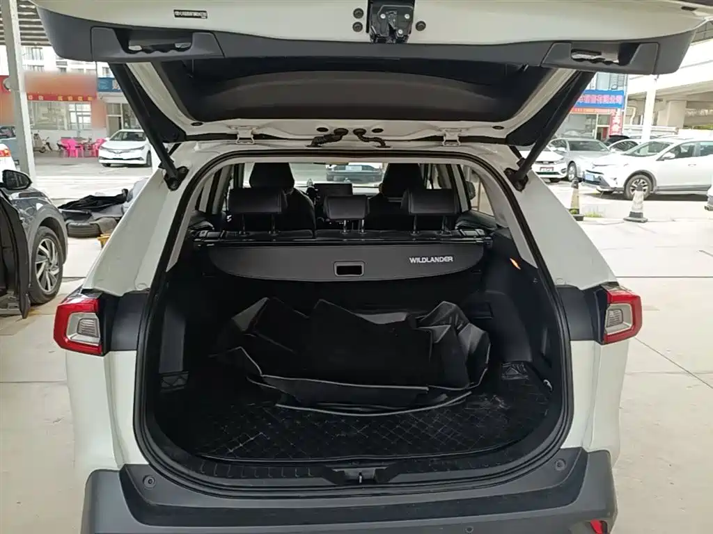 Toyota Wildlander 2021 2.0L CVT 4WD Luxury Edition фото 19