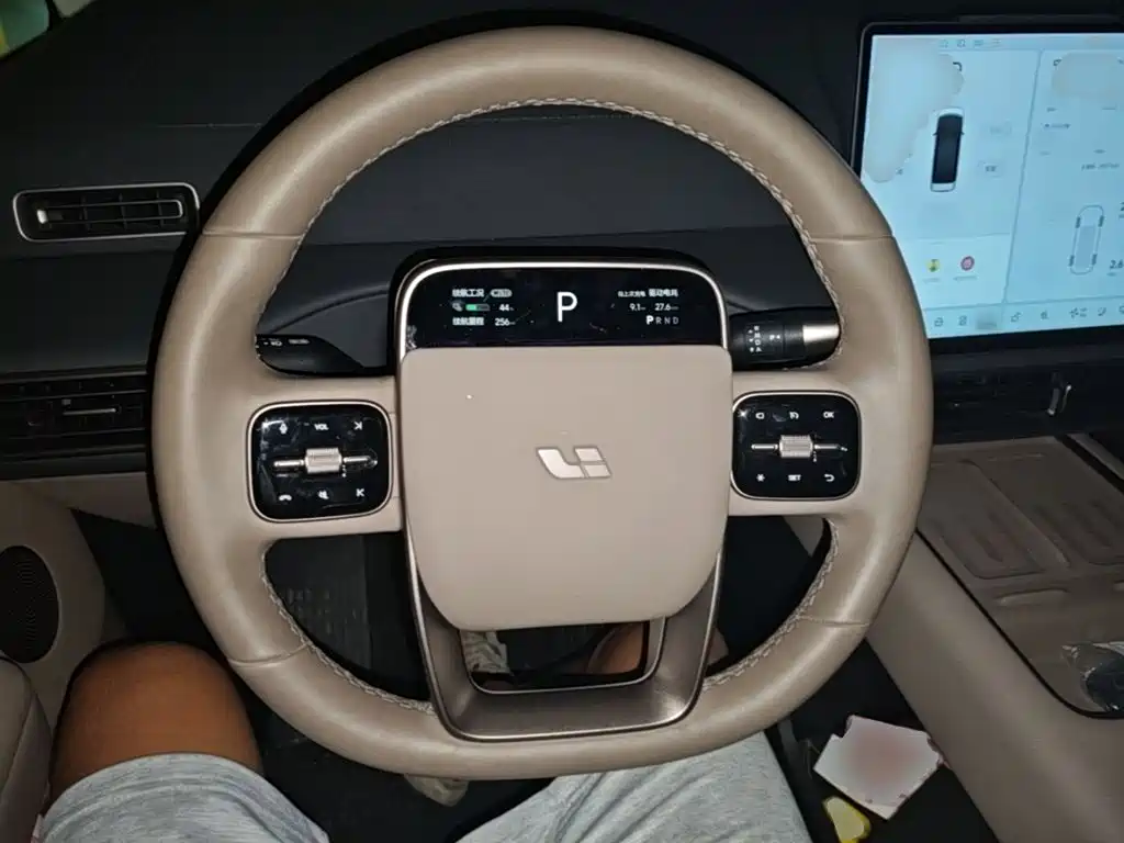 Li Auto MEGA 2025 2025 Model Home Family Special Edition