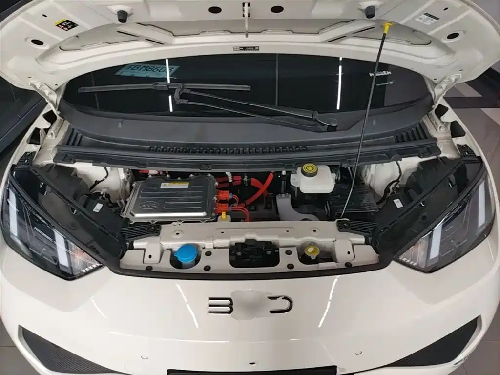 BYD Seagull 2025 Smart Drive Edition 305km Freedom Version фото 20