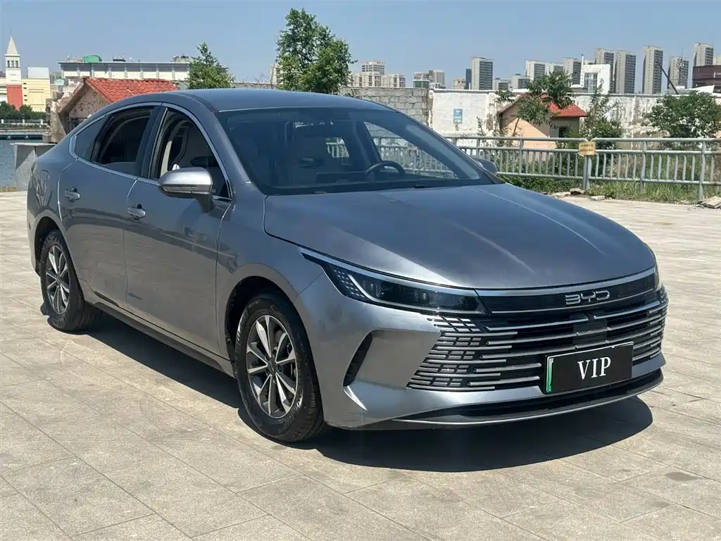 BYD Destroyer 05 2024 Glory Edition DM-i 55KM Luxury фото 2