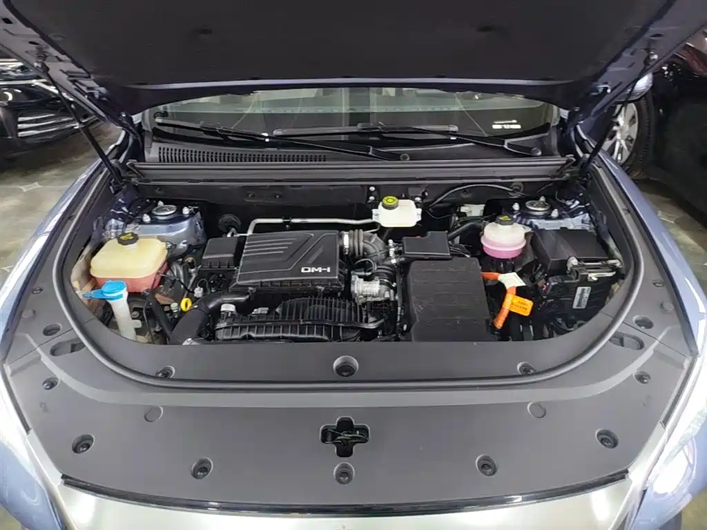 BYD Song Pro New Energy 2023 Champion Edition DM-i 71KM Leading Type фото 20
