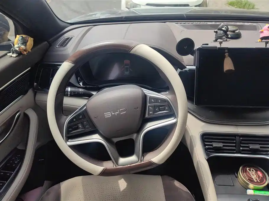 BYD SONGJIANG NEW ENERGY