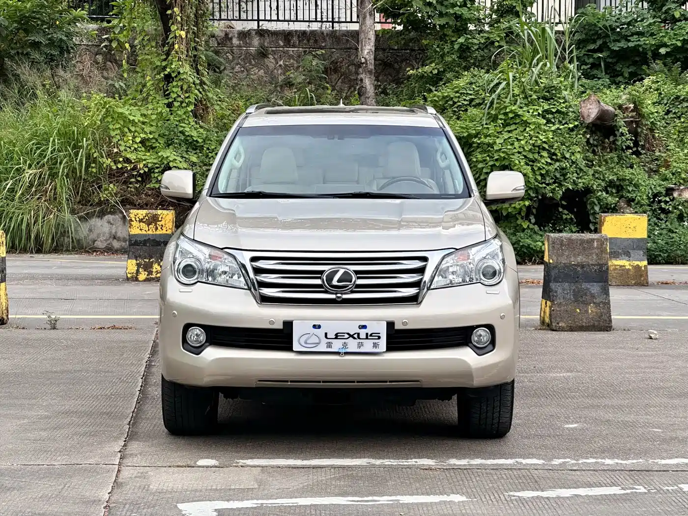 Lexus GX 2011 2010 460