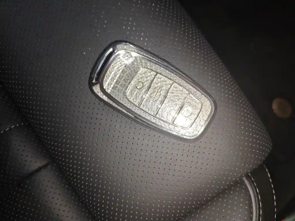Hongqi H9 2022 2.0T Smart Connect Flag Smooth Edition фото 18