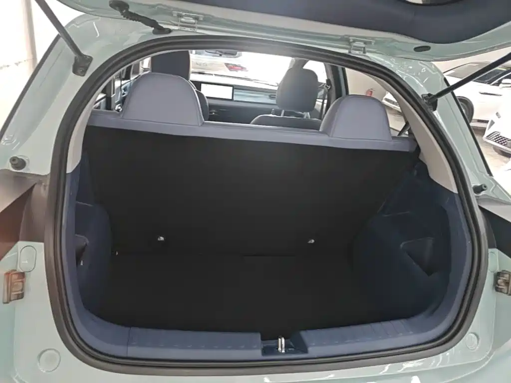 Geely Geometry E Firefly 2022 2022 401KM Delicate Tiger 4-seater