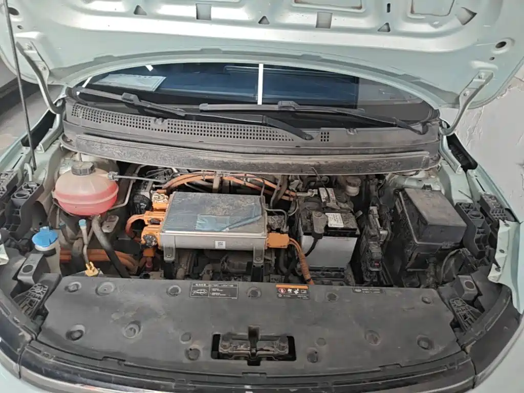 Geely Geometry E Firefly 2022 2022 401KM Delicate Tiger 4-seater