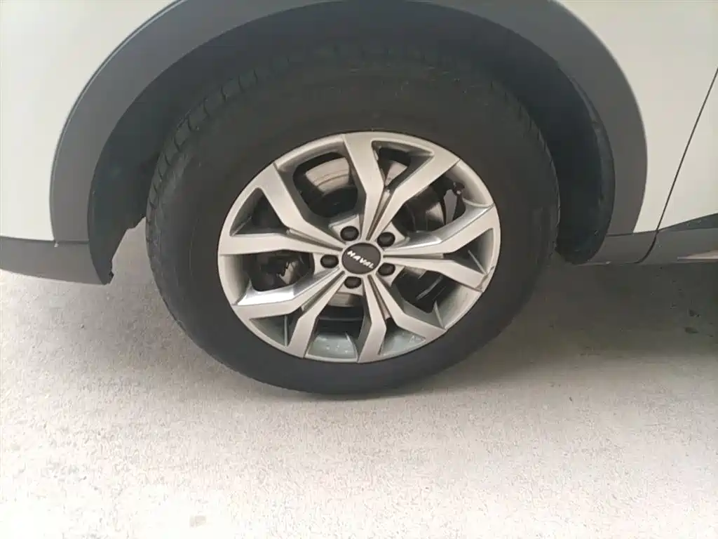 Haval H6 2021 Model National Trend Edition 1.5T Auto Champion фото 23