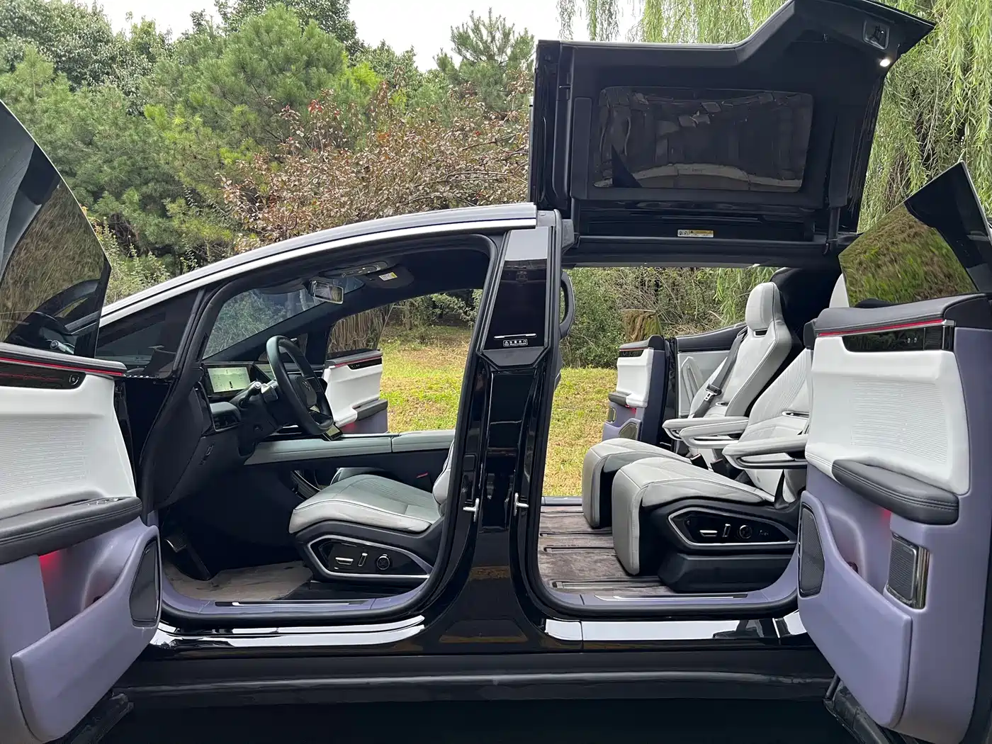 HiPhi X 2022 2021 Flagship Edition 6-Seater