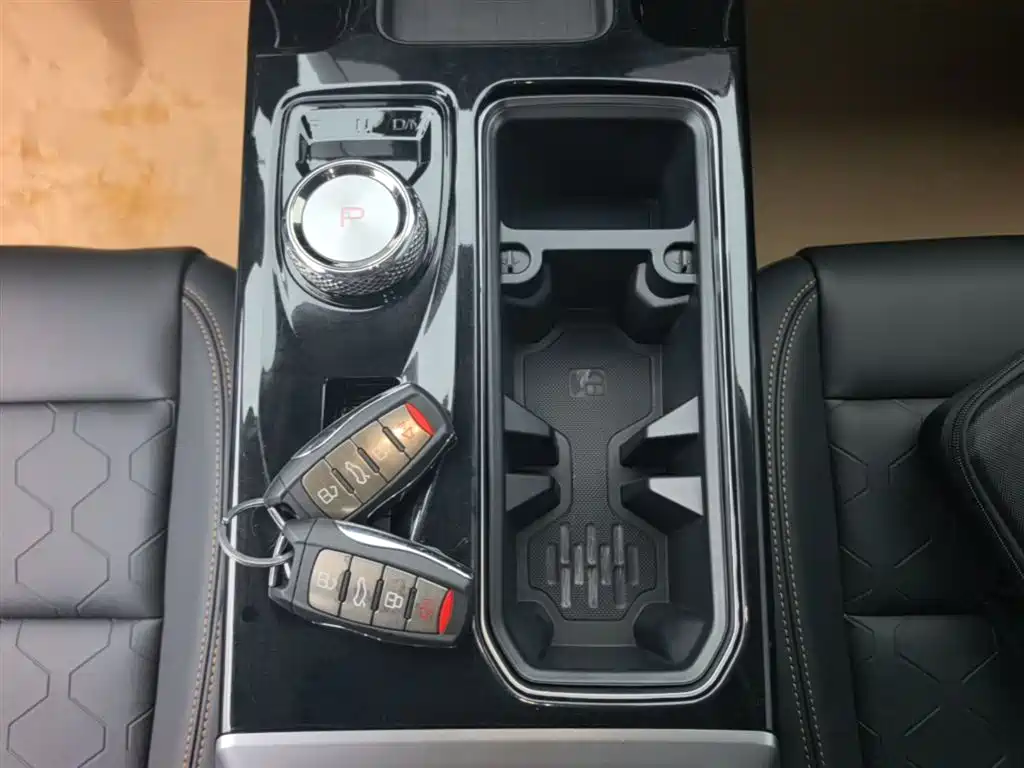 Haval Big Dog 2022 1.5T DCT FWD Border Collie Edition фото 14