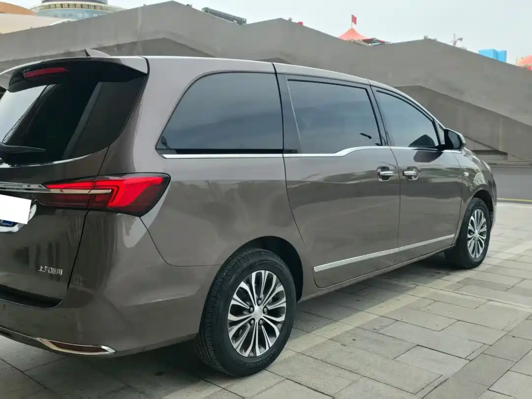 Buick GL8 2022 Land Business Class 652T Luxury фото 6