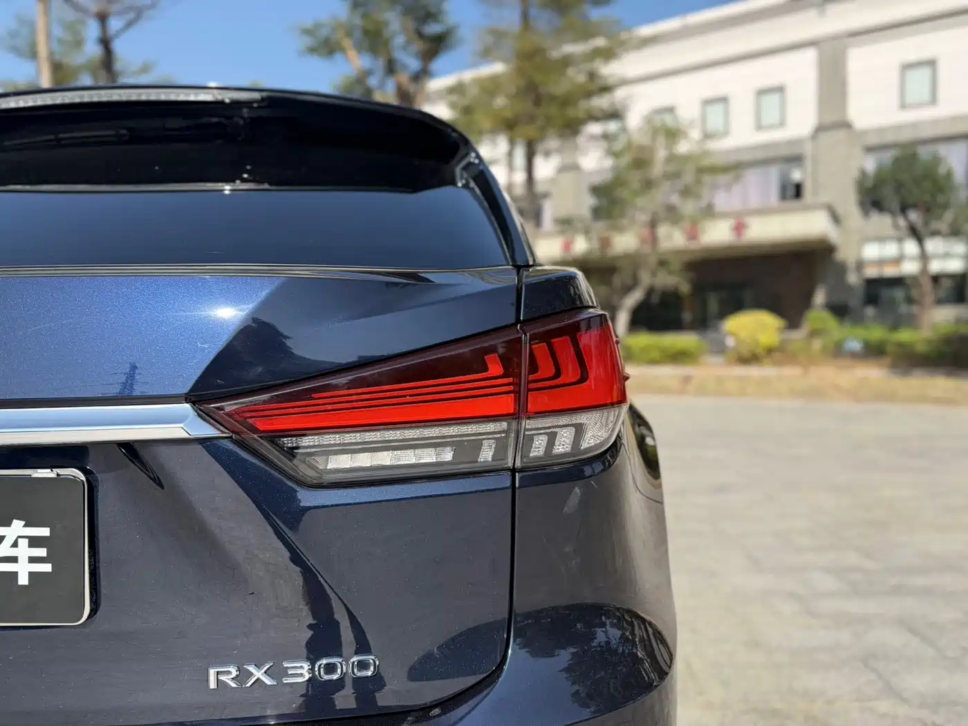 LEXUS RX