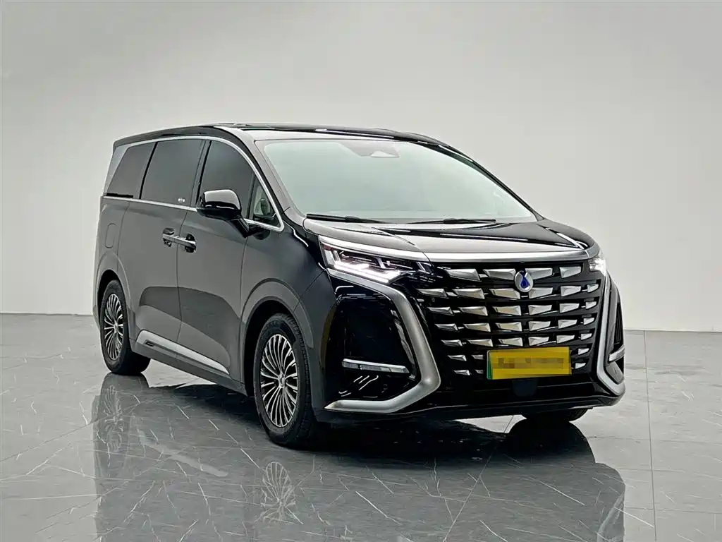 Denza D9 2024 DM-i 980 AWD Premium фото 8