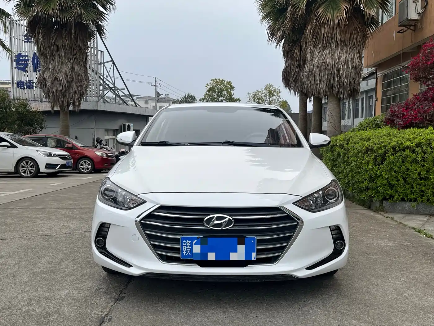 HYUNDAI LEAD