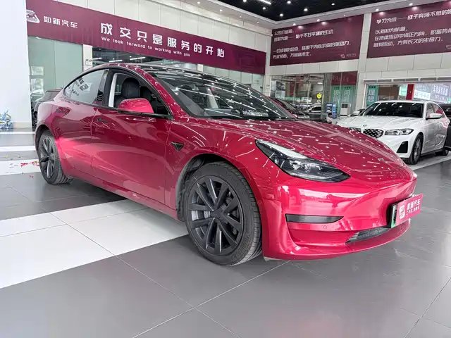 Tesla Model 3 2021 Standard Range Rear-Wheel Drive Upgrade — фото 3