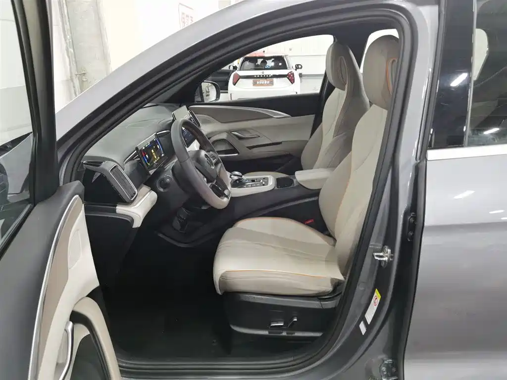 BYD Song Pro New Energy 2024 Glory Edition DM-i 71KM Pilot фото 10