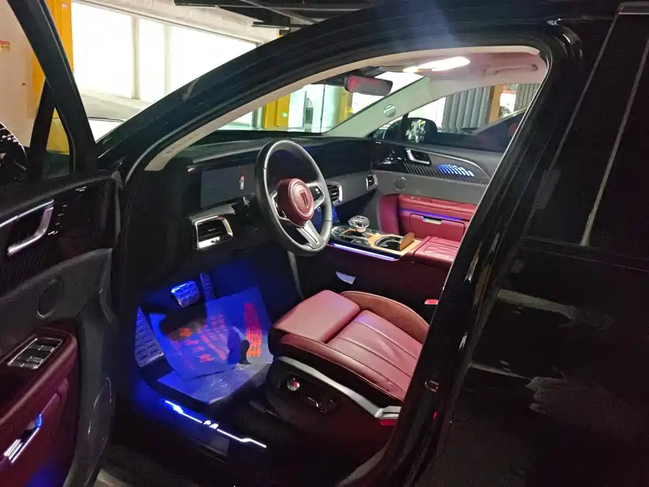 Hongqi E-HS9 2023 2021 460km Flagship Comfort 6-seater
