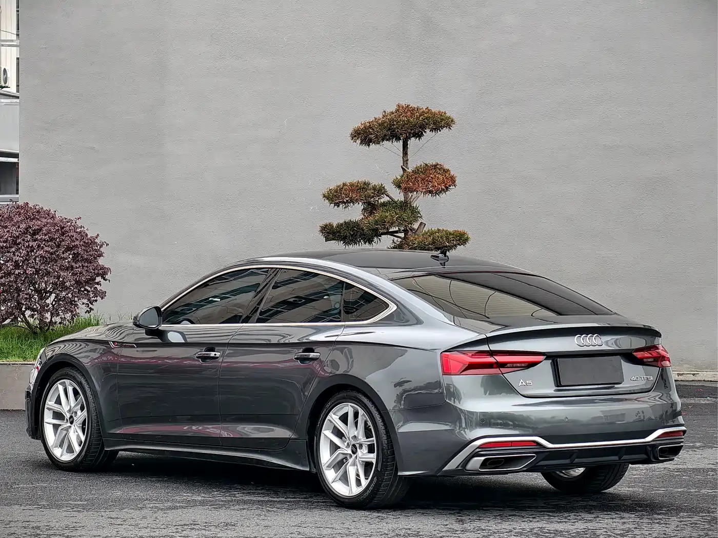 Audi A5 (Import) 2024 Sportback 40 TFSI Fashion Dynamic фото 11