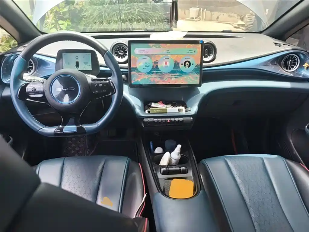 BYD Dolphin 2021 401km Knight Edition фото 10