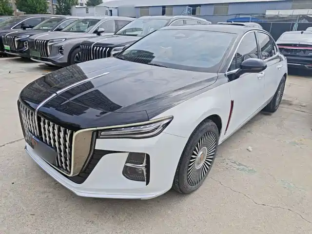  Hongqi Hongqi H5 2024 2.0T Automatic Smart Connect Flag Smooth Edition