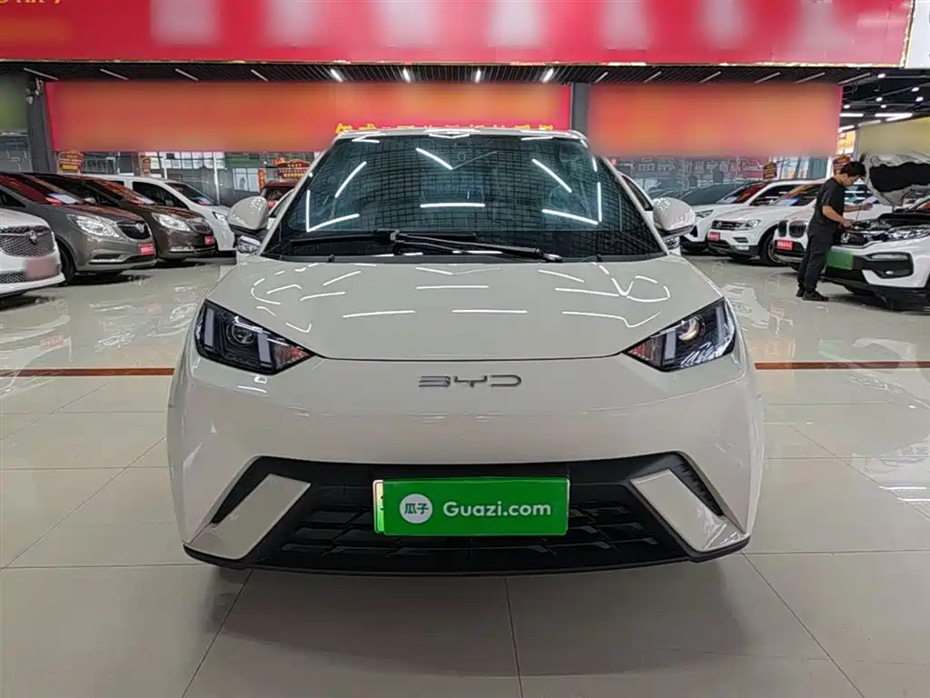 BYD Seagull 2023 Vitality Edition фото 3