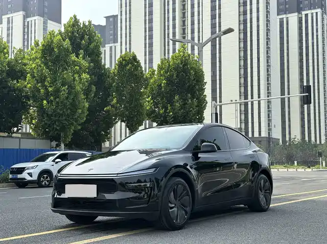 Tesla Model Y Задний привод