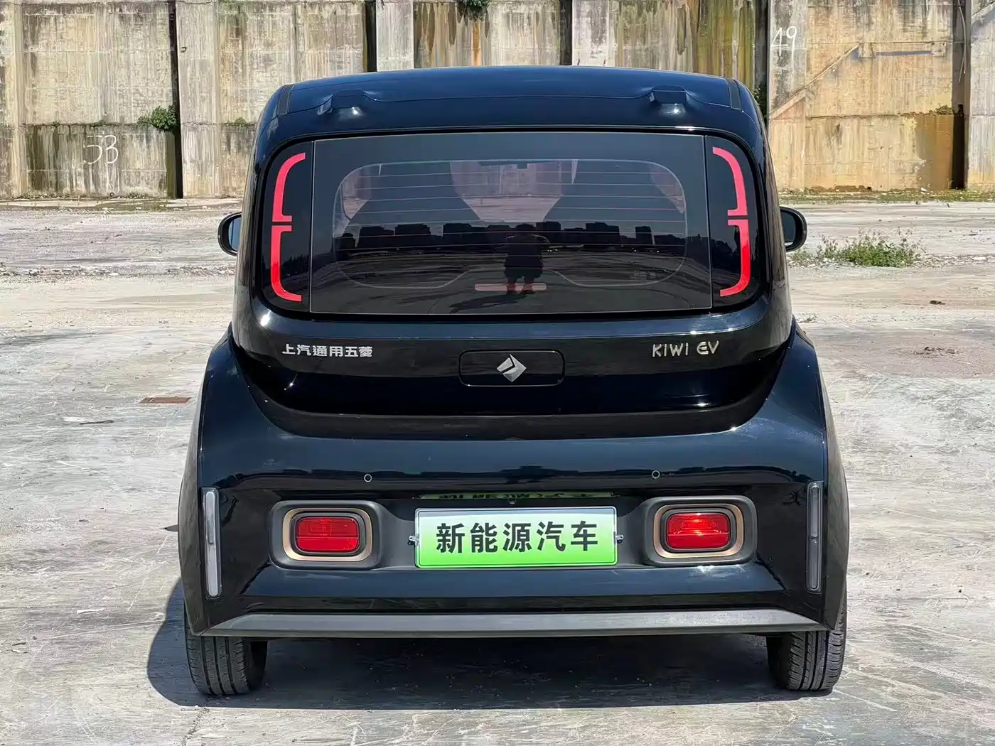 Baojun KiWi EV 2021 2021 Artist LFP