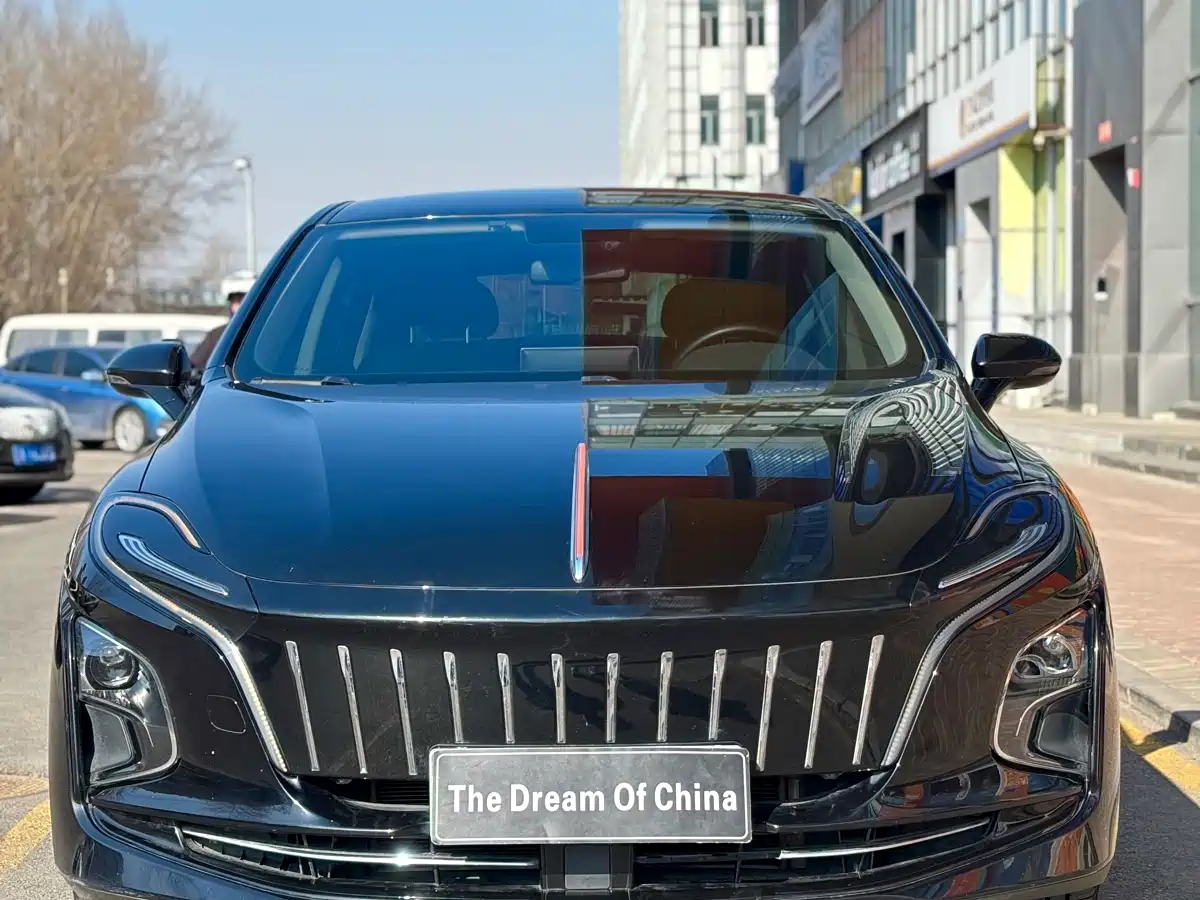 Hongqi HONGQI E QM5