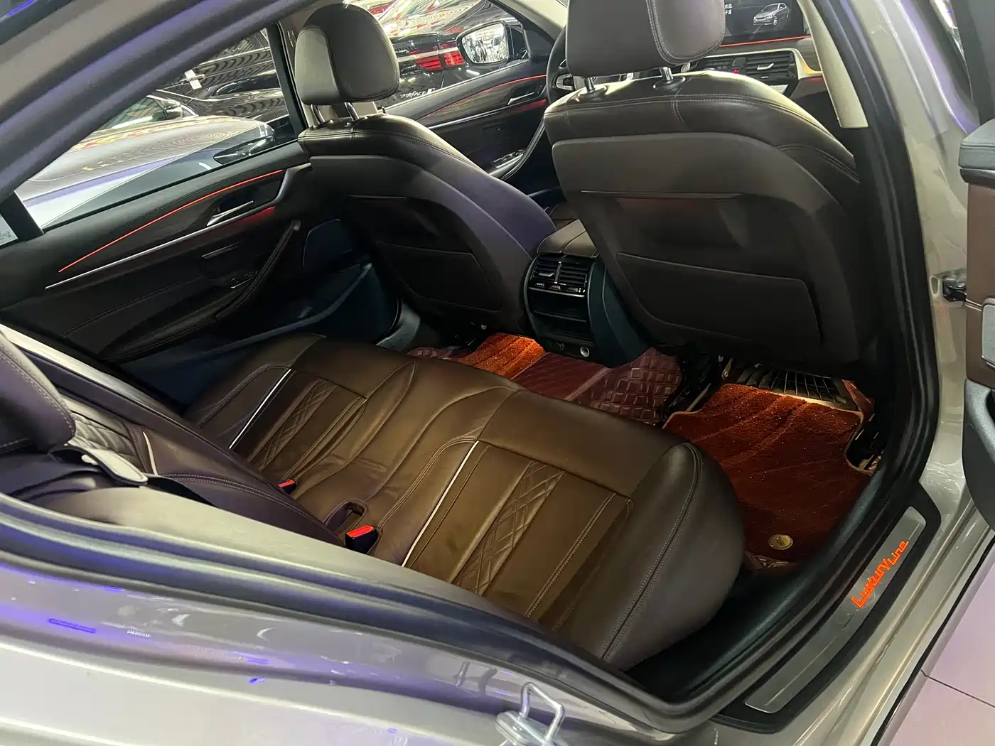 BMW 5 Series 2019 530Li Leading Luxury Package фото 6