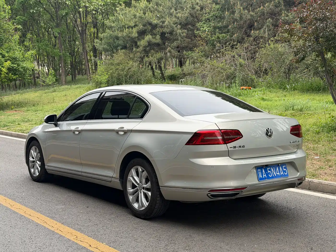 Volkswagen Magotan 2017 330TSI DSG Luxury фото 17