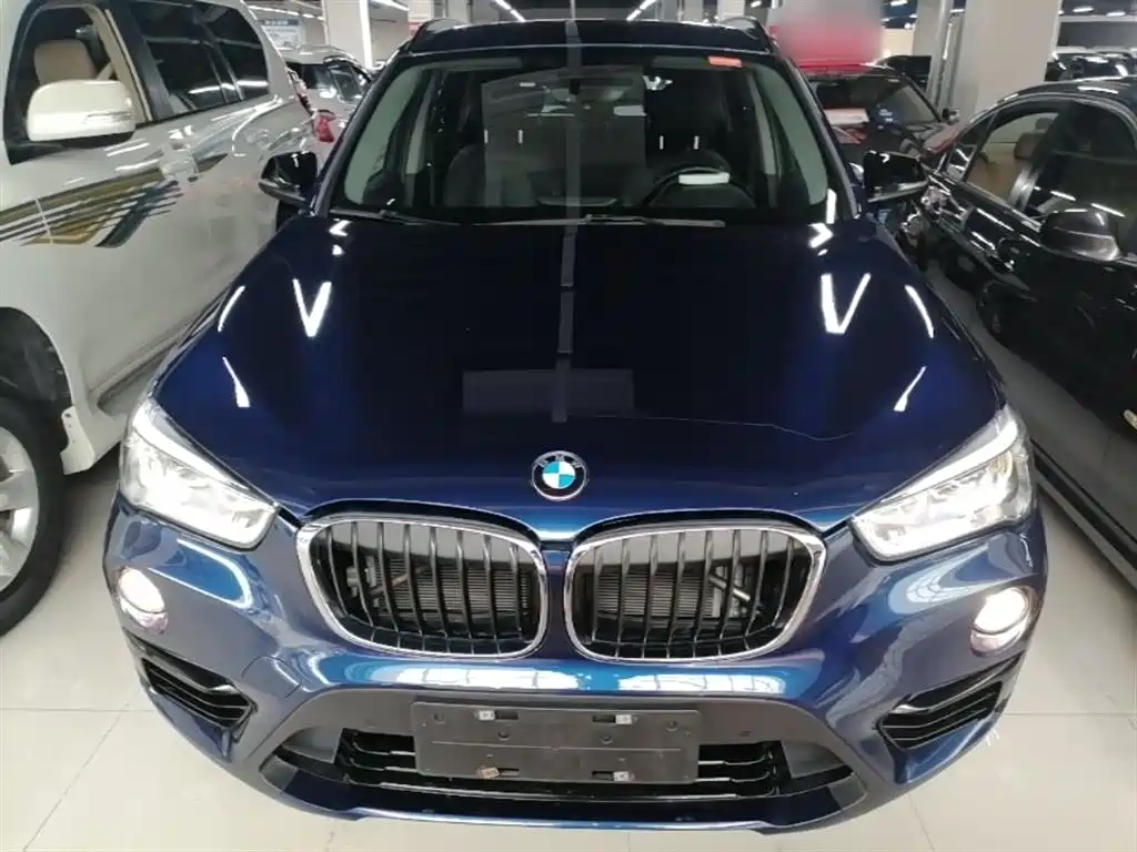 BMW X1 2019 xDrive20Li Luxury Model фото 3