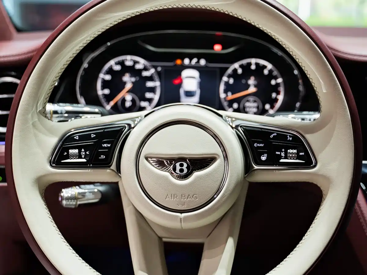 Bentley Continental 2024 4.0T GT V8 фото 27