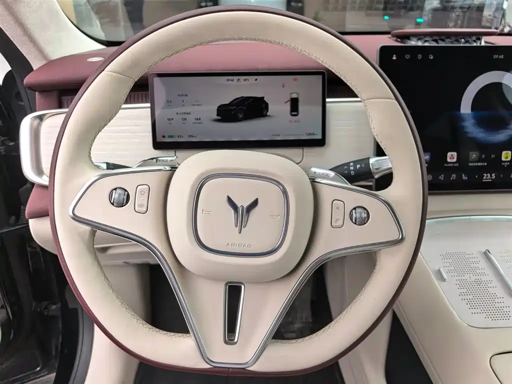 Voyah Auto Voyah Zhiyin 2025 Base фото 12