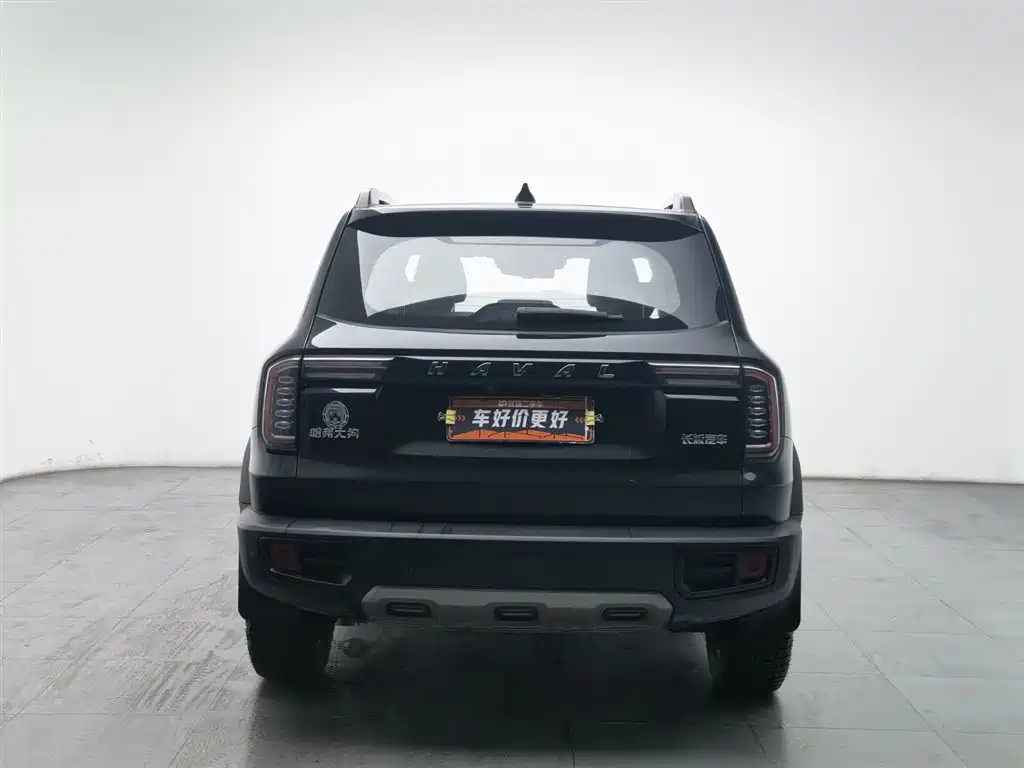 HAVAL BIG DOG