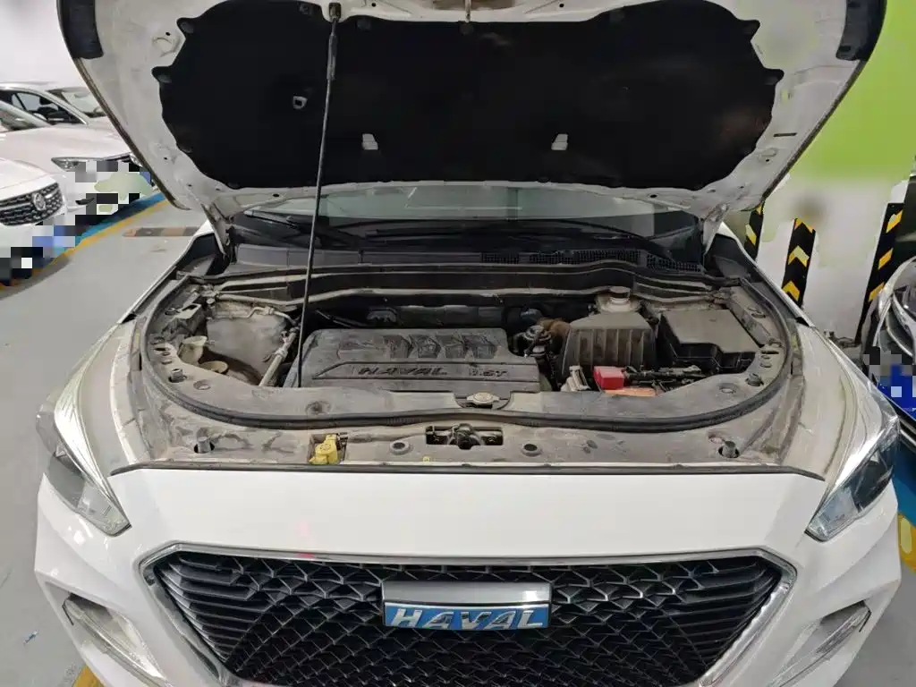 Haval M6 2017 2017 1.5T Automatic 2WD Premium