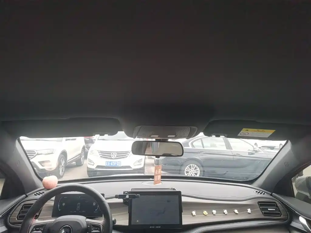 BYD Qin PLUS 2024 Glory Edition DM-i 55KM Leading фото 18
