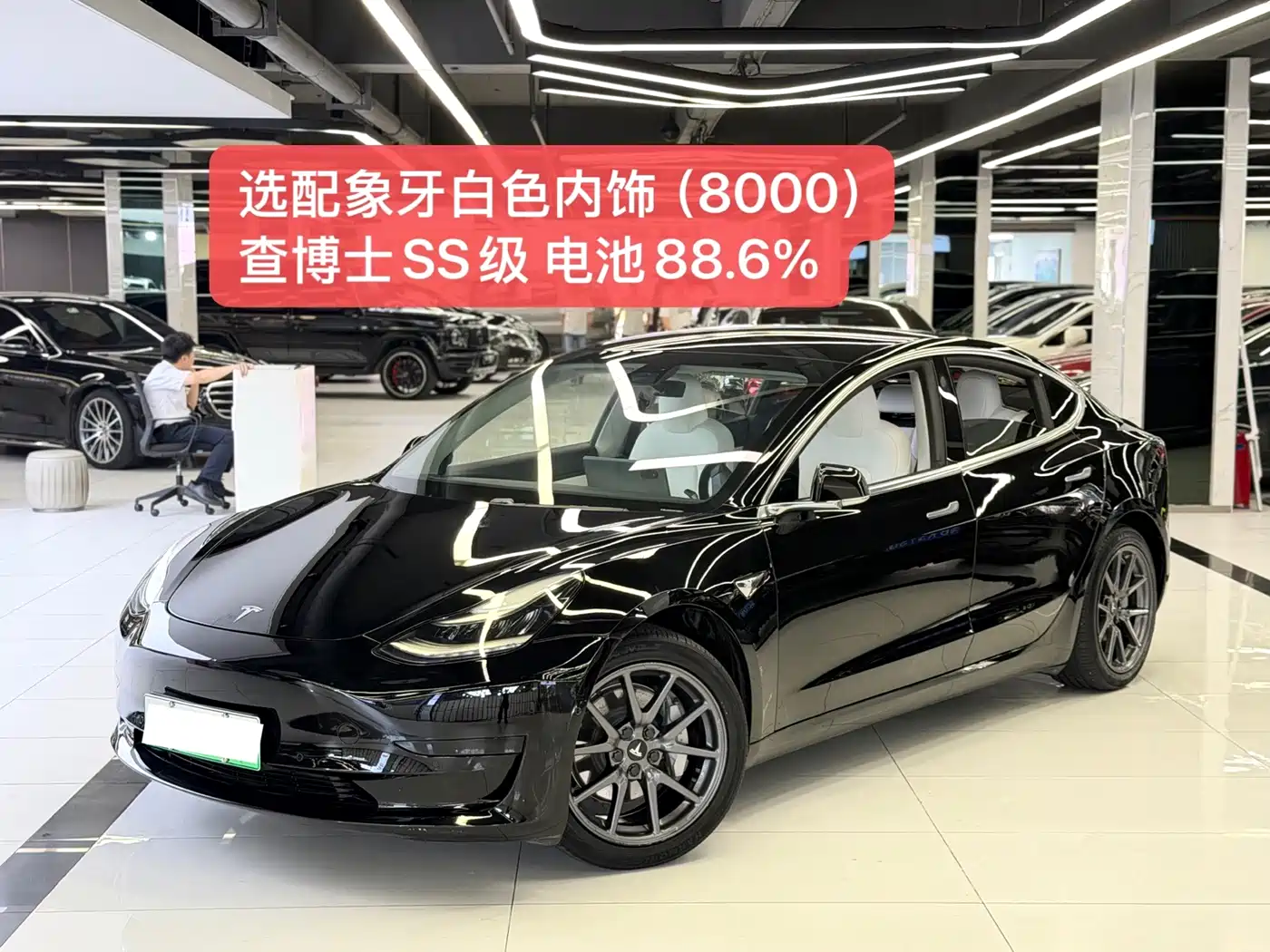 Tesla Model 3 2020 2020 Standard Range Rear-Wheel Drive Upgrade