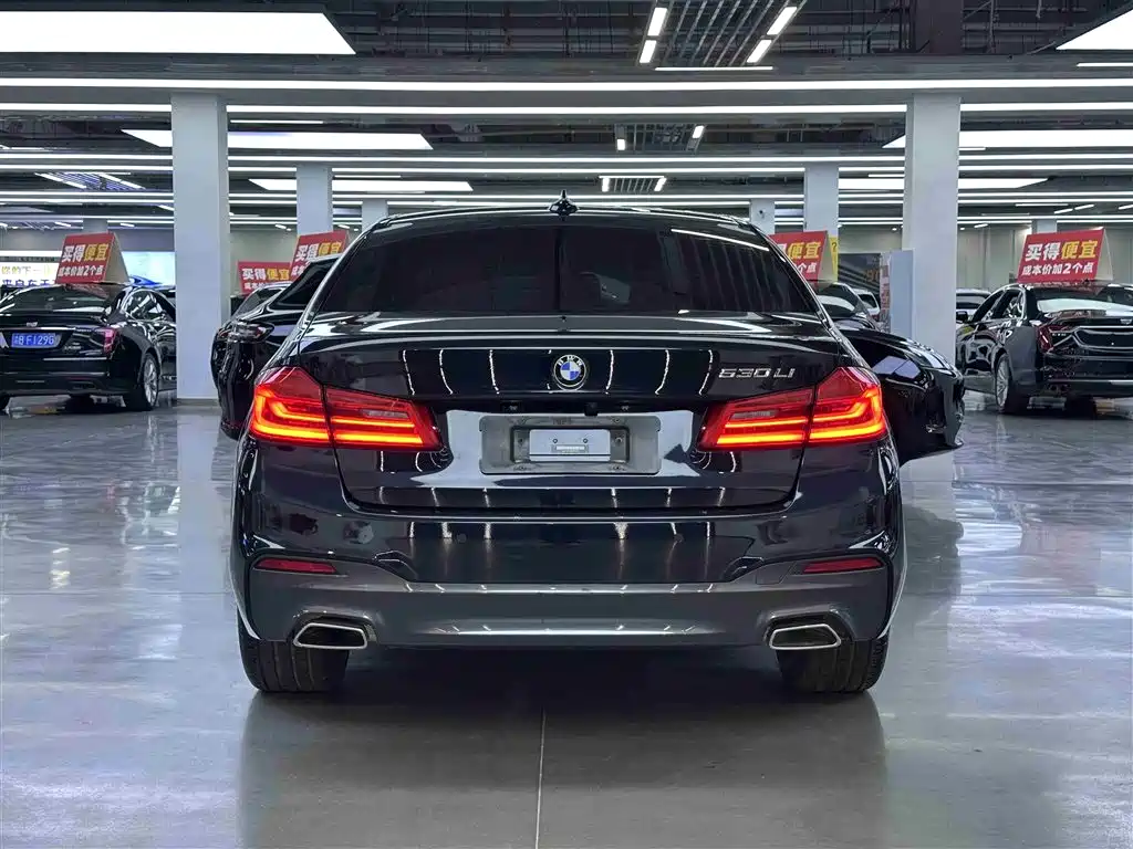 BMW 5 Series 2020 530Li Leading M Sport Package фото 14