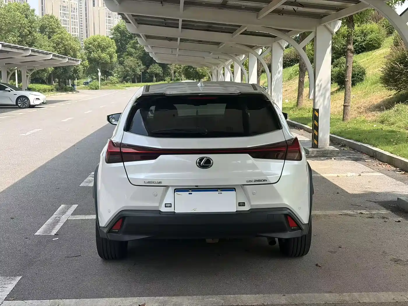 Lexus UX 2019 2020 260h Explore Cool Edition