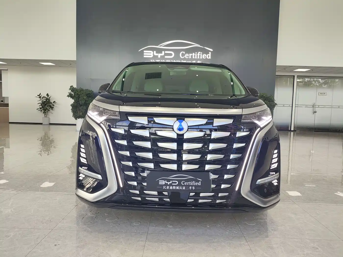 Denza D9 2024 DM-i 980 AWD Prestige фото 2