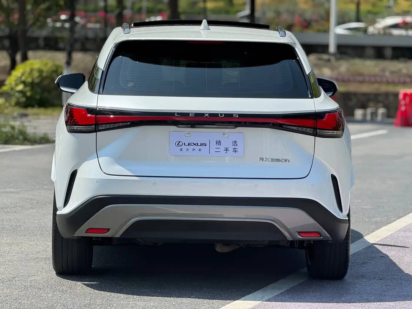 LEXUS RX