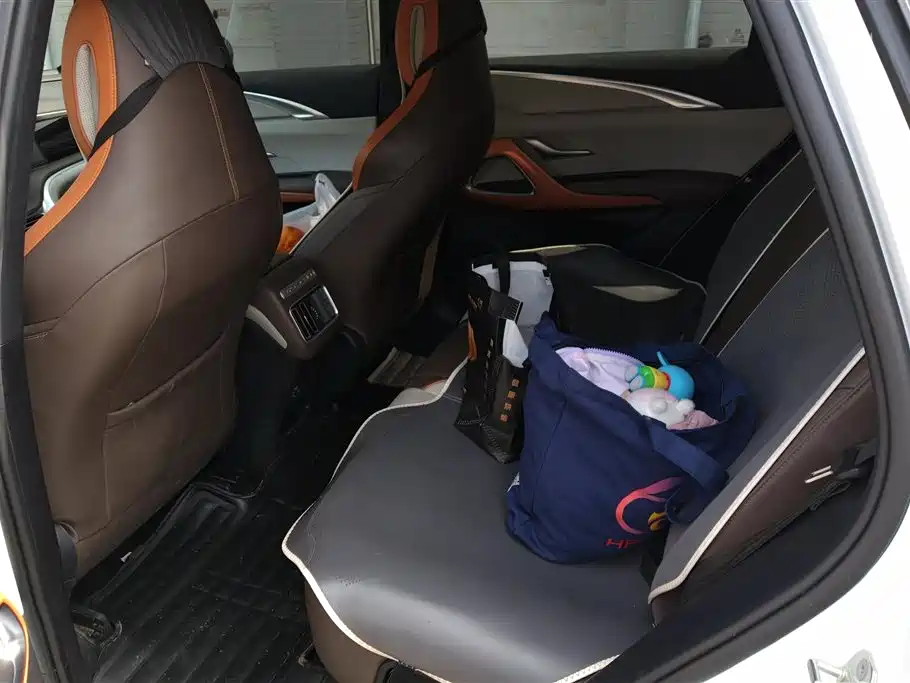 BYD Song Pro New Energy 2022 DM-i 110km Flagship Pro фото 11