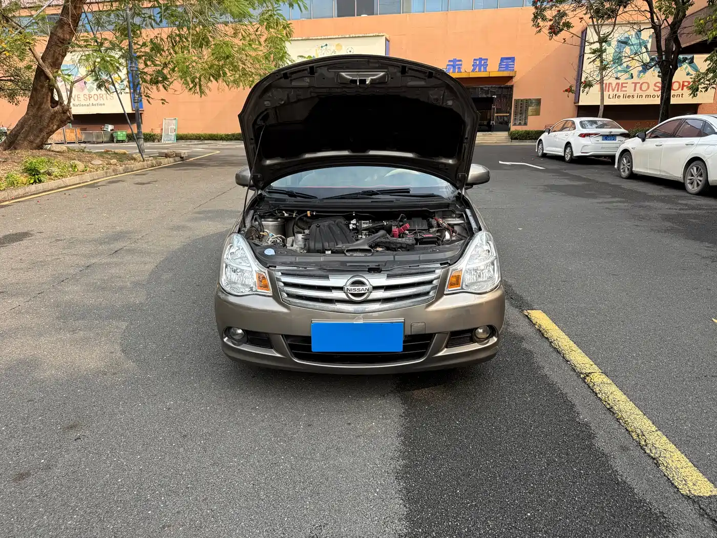 Фото 17 - Nissan Sylphy