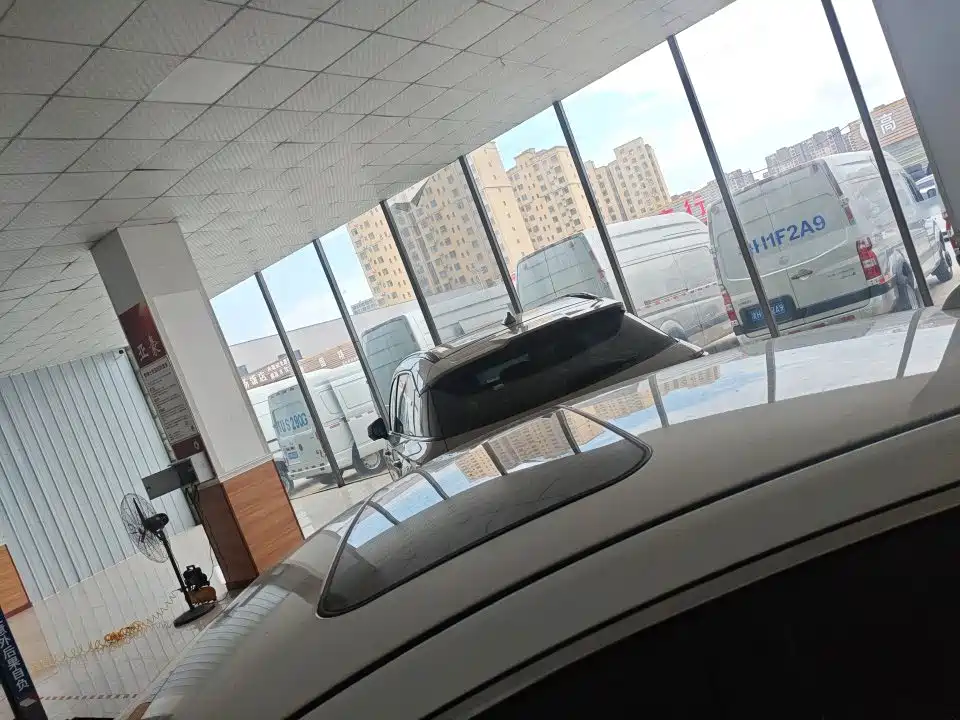 Фото 7 - Hongqi H5