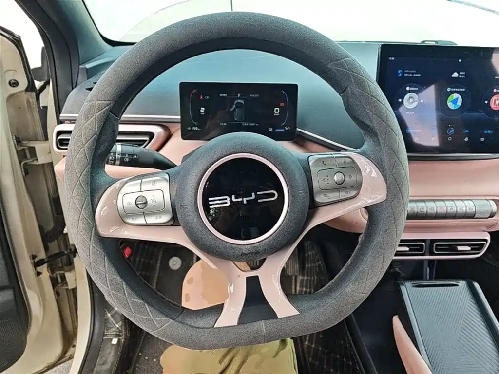 BYD Seagull 2024 Glory Edition 305km Vitality Edition фото 11