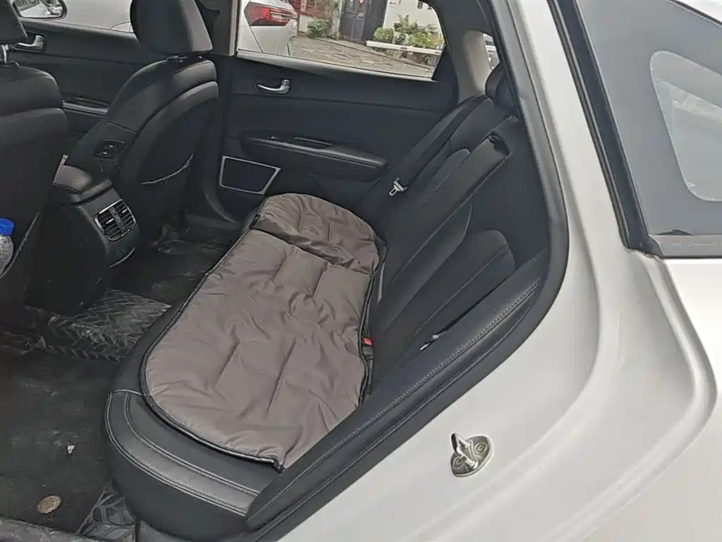 Kia K5 2019 Pro 2.0L Automatic Luxury Edition China V фото 17