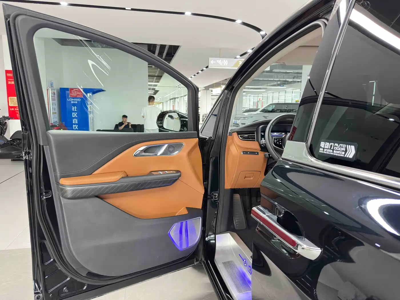 Hongqi HQ9 PHEV 2024 Model 2.0T AWD Business Edition фото 6