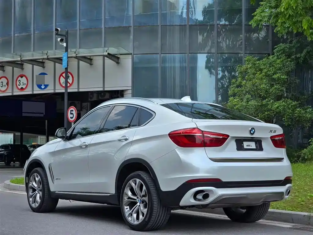BMW X6 2017 xDrive35i Leading фото 3