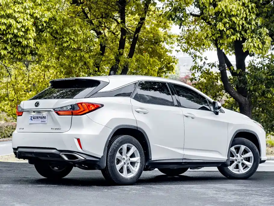 Lexus RX 2016 300 2WD Comfort Edition China V фото 6
